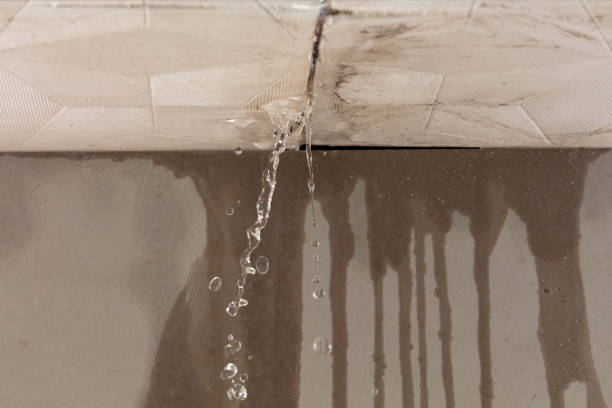 Professional Burst Pipe Cleanup technician working in Carthage, TX